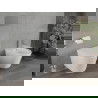 Mexen Rico wc dubuo Rimless su lėtai nusileidžiančiu plonu dangčiu, duroplast, blizganti balta - 30720300