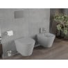 Mexen Rico pakabinamas Rimless WC su lėtai užsidarančia sėdyne slim, duroplast, šviesiai pilka matinė - 30724061