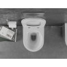 Mexen Lena WC klozetas Rimless su lėtai krentančiu plonu duroplastiniu dangčiu, baltas/sidabrinis - 30224004