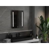 Mexen Remi apšviestas vonios veidrodis 60 x 80 cm, LED 6000K, priešrūkinis - 9804-060-080-611-00
