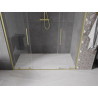 Mexen Velar Dvigubos slankios dušo durys 170 cm, permatomos, aukso spalvos šepetėlis - 871-170-000-02-55