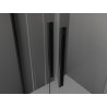 Mexen Velar Dvivietės dušo durys stumdomos 140 cm, skaidrios, juodos - 871-140-000-02-70