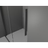 Mexen Velar įstumiama dušo kabina 120 x 100 cm, skaidri, šlifuota ginklo pilka - 871-120-100-01-66