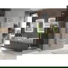 Mexen Neptun vonios radiatorius 1600 x 500 mm, 523 W, chromas - W101-1600-500-00-01