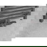 Mexen G00 termostatinis kampinis/tiesus komplektas su dangteliu R, Duplex, DN50, antracitas - W908-900-905-66