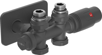 Mexen G00 termostatinis komplektas kampinis/tiesus su S dangteliu, Duplex, DN50, antracitas - W908-900-910-66