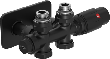 Mexen G00 termostatinis rinkinys su kampiniu/tiesiu dangteliu S, Duplex, DN50, juodas - W908-900-910-70