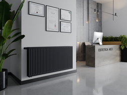 Mexen CVH20 Higieninis plokštuminis radiatoriumi 300 x 1000 mm, apatinis prijungimas, 636 W, antracitas - W620H-030-100-66