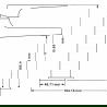 Mexen Lynx DF62 vonios rinkinys, auksinis - 745903DF62-50
