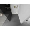 Mexen Kioto L dušo siena Walk-in 80 x 200 cm, grafitas, auksinis šlifuotas - 800-080-103-55-40