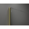 Mexen Kioto Dušo siena Walk-in 50 x 200 cm, juodas rėmas 8 mm, auksinė - 800-050-101-50-70