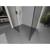 Mexen Kioto dušo sienelė Walk-in 150 x 70 cm, skaidri, auksinė - 800-150-202-50-00-070