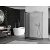 Mexen Kioto dušo siena Walk-in 100 x 100 x 30 cm, juodas raštas, chromas - 800-100-100-221-01-70-030