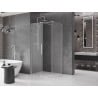 Mexen Velar stumdomas dušo kabinos komplektas 120 x 100 cm, matinis, chromas - 871-120-100-31-01