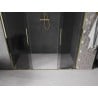 Mexen Velar Duo stumdomos dušo durys 170 cm, grafitas, auksinės - 871-170-000-42-50