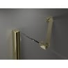 Mexen Velar Duo stumdomos dušo durys 170 cm, grafitas, auksinės - 871-170-000-42-50