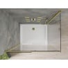 Mexen Omega stumdoma dušo kabina 100 x 80 cm, Skaidrus, Auksinė + dušo padėklas Flat - 825-100-080-50-00-4010