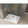 Mexen Omega stumdoma dušo kabina 110 x 80 cm, Skaidrus, Auksinė + dušo padėklas Flat - 825-110-080-50-00-4010