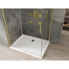 Mexen Omega 120 x 100 cm stumdomas dušo kabinas, skaidrus, auksinis + lėkštės plokščiasis - 825-120-100-50-00-4010