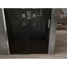 Mexen Omega stumdomos dušo durys 160 cm, Grafito, Chromo - 825-160-000-01-40