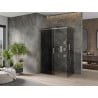 Mexen Omega stumdomas dušo kabinas 140 x 80 cm, grafitas, chromas - 825-140-080-01-40