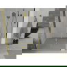 Mexen Lima sulankstomos dušo durys 80 cm, Skaidrus, Auksinė - 856-080-000-50-00