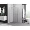 Mexen Exo-S Duo kvadratinė stumdomos durys dušo kabina 70 x 70 cm, permatomas, chromas - 8111-070-070-01-00