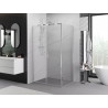 Mexen Exo-BR Duo varstoma dušo kabina 100 x 75 cm, permatoma, chromuota - 8182-100-075-01-00