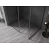 Mexen Kioto-F Dušo siena Walk-in su rėmeliu 160 x 80 cm, skaidri 8 mm, gun metalas - 800-160-202-04-95-080