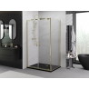 Mexen Exo atsidaro dušo kabina 70 x 100 cm, skaidri, auksinė - 8182-070-100-50-00