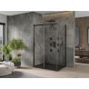 Mexen Omega stumdoma dušo kabina 100 x 80 cm, Skaidrus, Juoda + dušo padėklas Flat, Juoda - 825-100-080-70-00-4070B