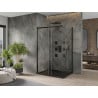 Mexen Omega stumdoma dušo kabina 100 x 90 cm, Skaidrus, Juoda + dušo padėklas Flat, Juoda - 825-100-090-70-00-4070B