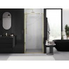 Mexen Exo-BR varstomos dušo durys 65 cm, skaidrios, auksinės - 8181-065-000-50-00