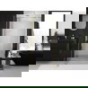 Mexen Exo dušo durys atveriamos 75 cm, permatomos, auksinės - 8181-075-000-50-00