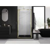 Mexen Exo-BR varstomos dušo durys 100 cm, skaidrios, auksinės - 8181-100-000-50-00