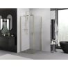 Mexen Exo stumdomas dušo kabinas 95 x 95 cm, skaidrus, auksinis - 8151-095-095-50-00