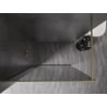 Mexen Kioto-XF dušo sienelė Walk-in su rėmu 100 x 202 cm, grafitas 10 mm, šlifuotas auksas - 800-100-104-55-40-X