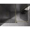 Mexen Kioto-X dušo sienelė Walk-in 140 x 110 cm, permatoma 10 mm, auksinė - 800-140-202-50-00-110-X