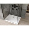 Mexen Omega stumdoma dušo kabina 140 x 100 cm, Skaidrus, Juoda + dušo padėklas Flat, Balta - 825-140-100-70-00-4010B