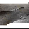 Mexen Lunar pusapvalė dušo kabina su atveriamomis durimis 70 x 70 cm, skaidri, auksinė - 833-070L-070P-50-00
