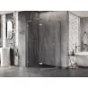 Mexen Lunar L penkiakampė kairioji dušo kabina 100 x 90 cm, skaidri, šlifuotas nikelis - 831L-100L-090P-97-00-L