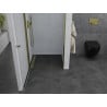 Mexen Pretoria pakreipiamos dušo durys 70 cm, Skaidrus, Auksinė - 852-070-000-50-00