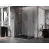 Mexen Lunar Duo dušo kabinos atveriamos durys 110 x 85 cm, skaidrios, šlifuota varis - 834-110L-085P-65-00
