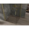 Mexen Omega stumdomas dušo kabina 100 x 100 cm, skaidrus, auksinis - 825-100-100-50-00