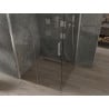 Mexen Omega stumdoma dušo kabina 100 x 100 cm, Skaidrus, Chromo - 825-100-100-01-00