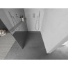 Mexen Kioto+ dušo sienelė su lentyna Walk-in 80 x 200 cm, veidrodis, chromas - 800-080-121-01-50