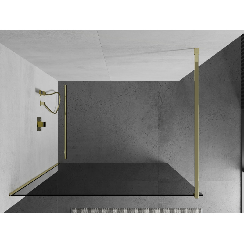 Mexen Kioto Dušo siena Walk-in 120 x 200 cm, grafitas 8 mm, auksinė - 800-120-101-50-40