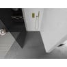 Mexen Kioto dušo siena Walk-in 100 x 200 cm, grafitas 8 mm, auksas - 800-100-101-50-40