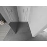 Mexen Kioto dušo siena Walk-in 70 x 200 cm, veidrodis 8 mm, chromas - 800-070-101-01-50