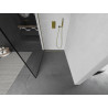 Mexen Kioto Dušo siena Walk-in 50 x 200 cm, juodas rėmas 8 mm, auksinė - 800-050-101-50-70